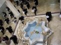 گزارش تصویری آزمون استخدامی 